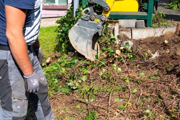 Cost of Hedge Removal Service in Reno