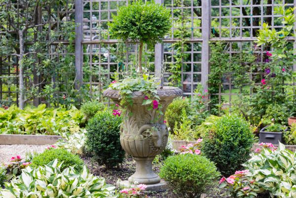 Cost of Topiary Pruning in Reno