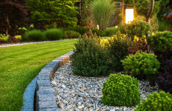 Cost of Bush Relocation in Reno