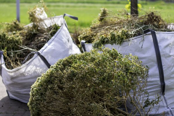 Cost of Shrubs Removal in Reno