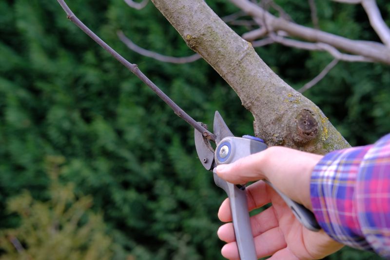 Selective Pruning