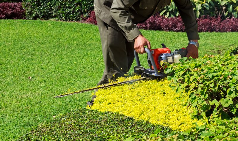 Trimmed Shrubs with Clean Lines