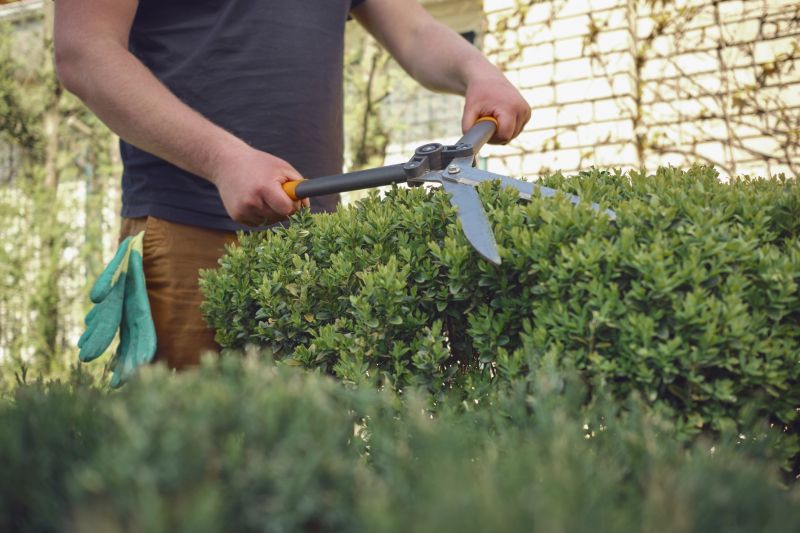 Shrub Trimming Equipment
