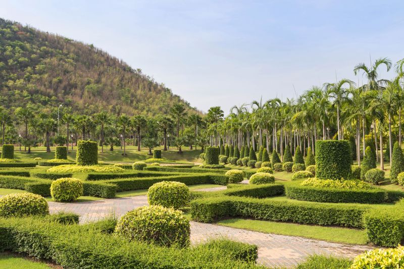 Recently Trimmed Shrubs