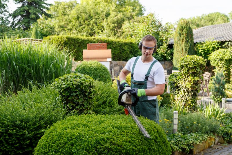 Experienced Trimming Professionals